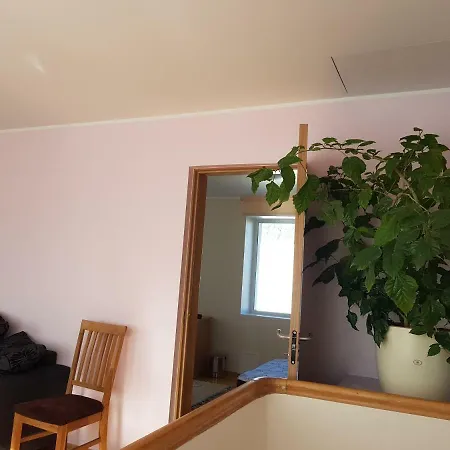 Dom wakacyjny Viru Maja