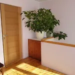 Viru Maja