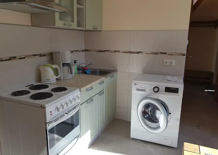 度假居 Viru Maja 塔林